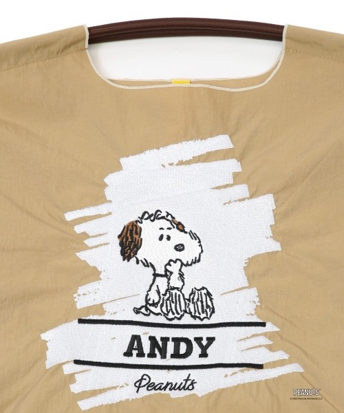 P. ANDY (M)