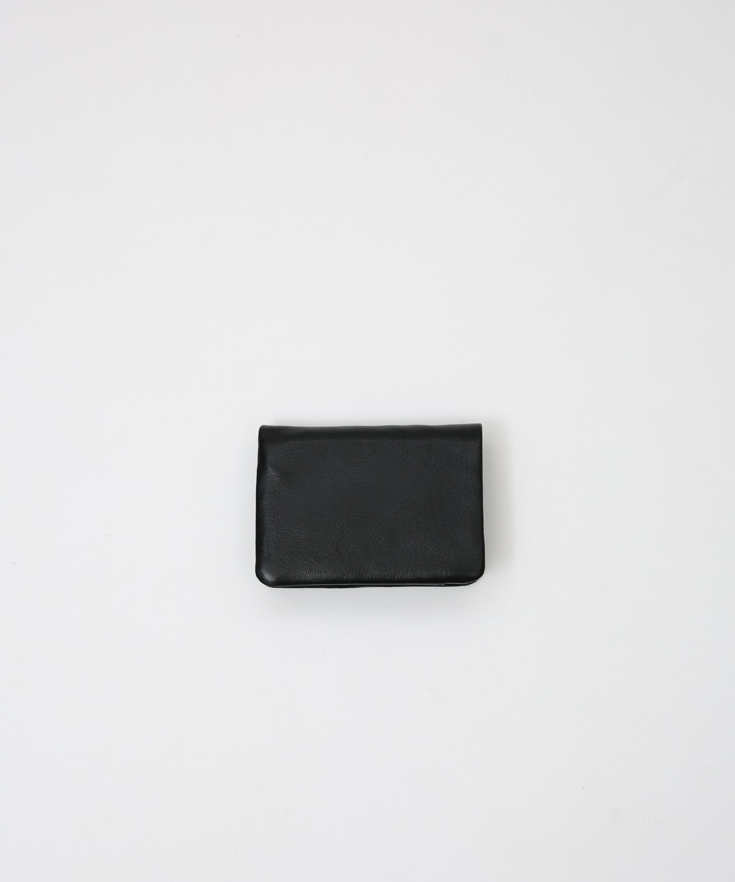 SGL-SFN-01