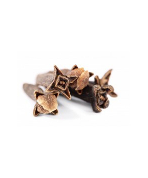 クローブバッド 5ml