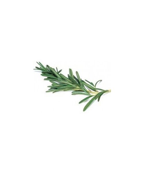 ローズマリー 1.8シネオールCT 10ml