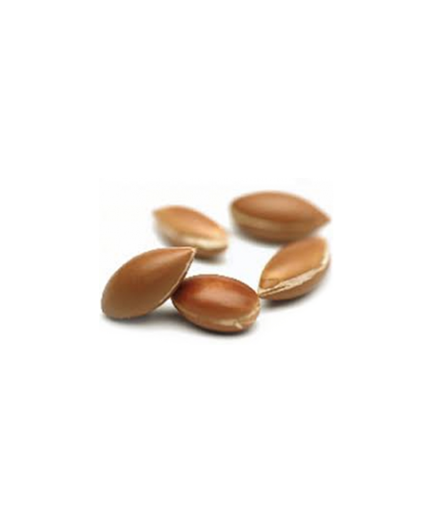 アルガンオイル 50ml