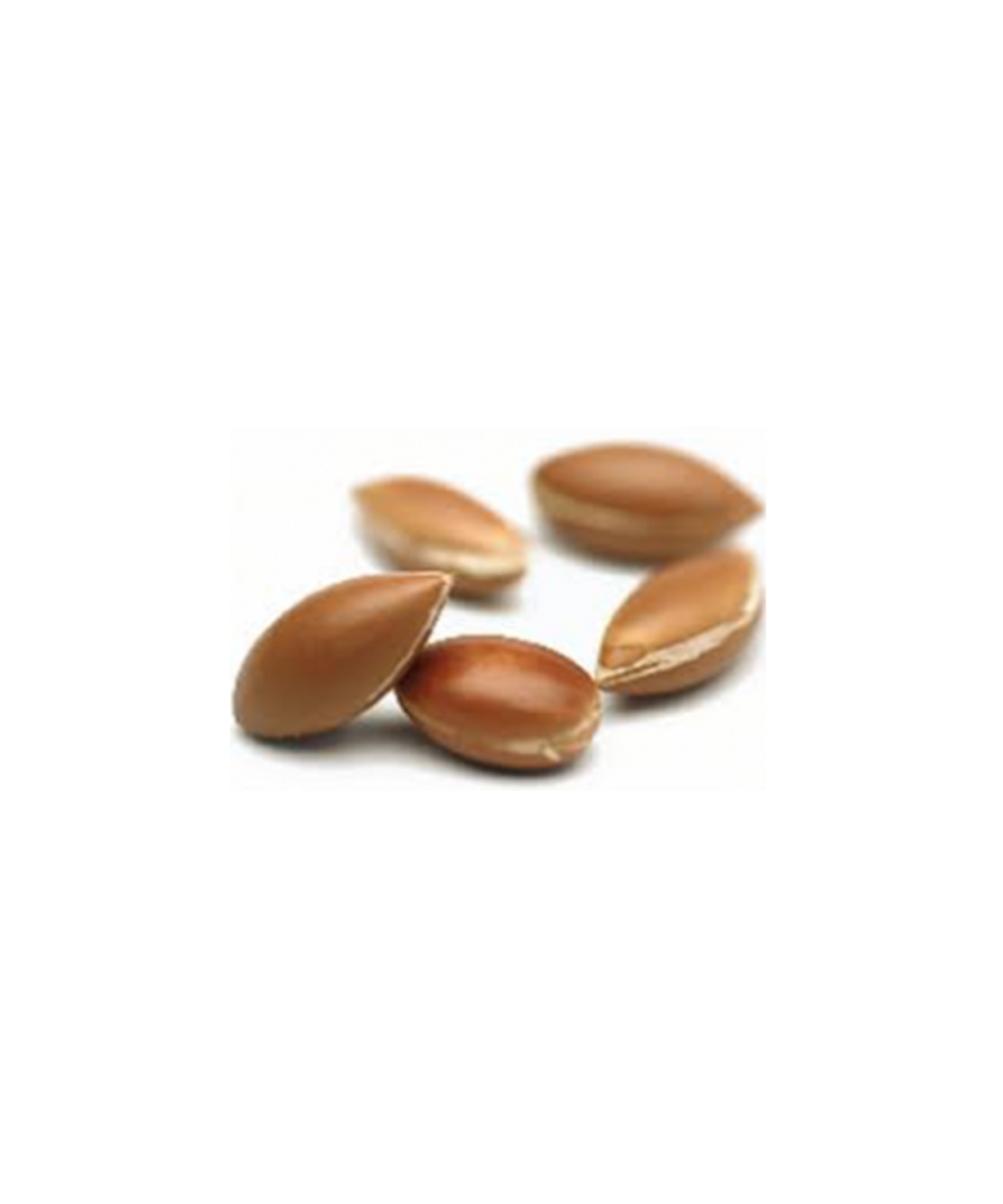 アルガンオイル 100mL