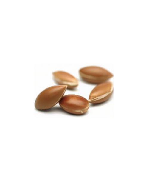 アルガンオイル 100mL