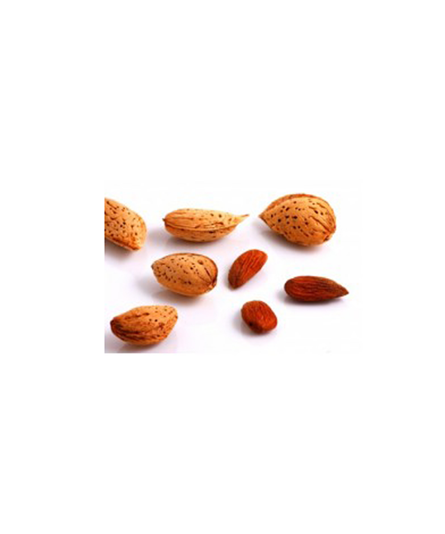 スウィートアーモンドオイル 50ml