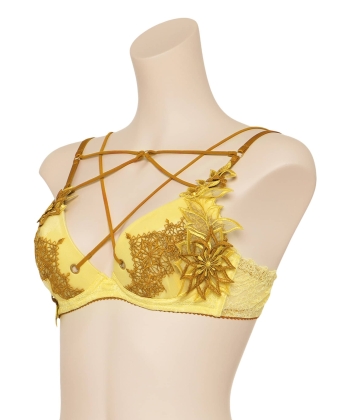 レイ グラマーアップ ブラ