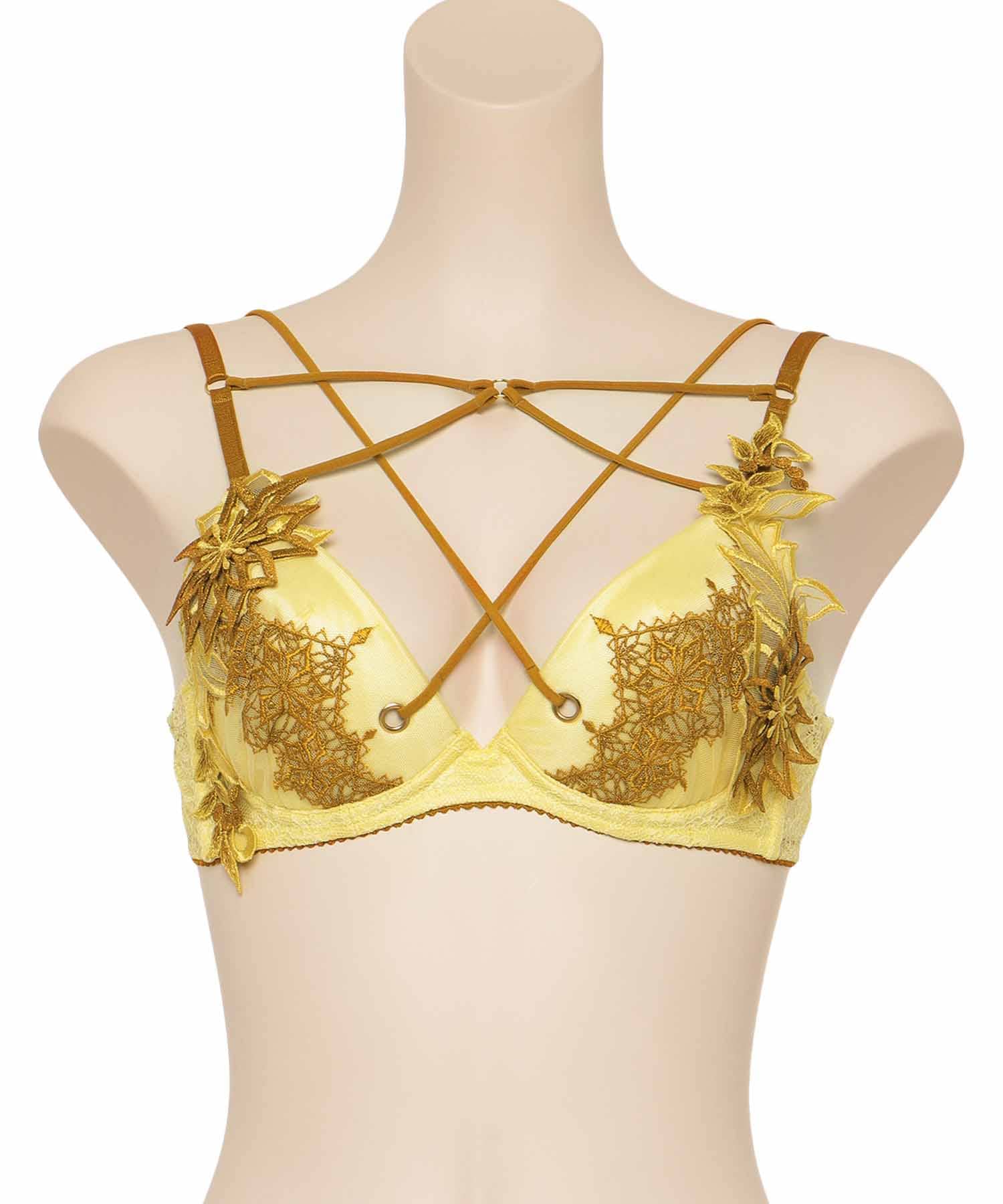 レイ グラマーアップ ブラ