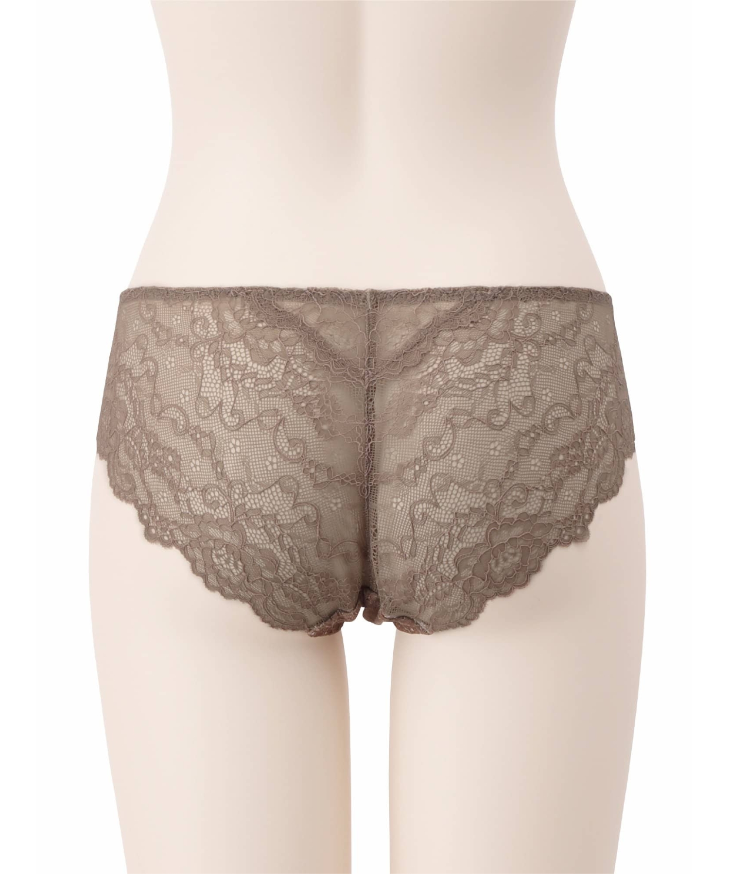 メルティングレースノーマル ショーツ