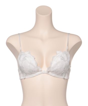 フルブルーム ホットリフト