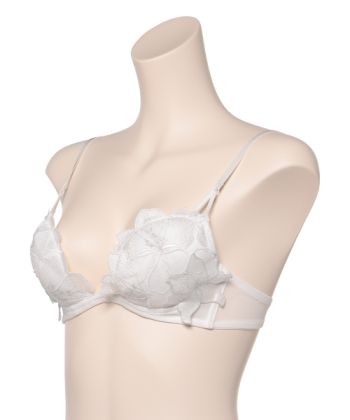 フルブルーム ホットリフト