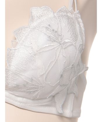 フルブルーム ホットリフト