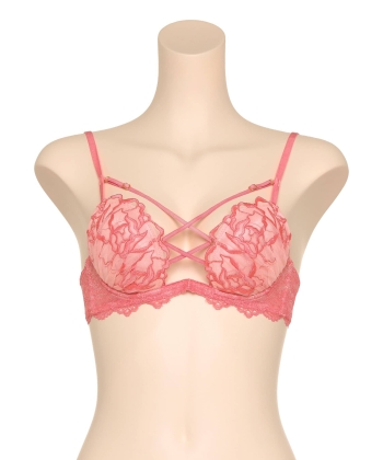 ラヴィッシュローズ ホットリフト ブラ