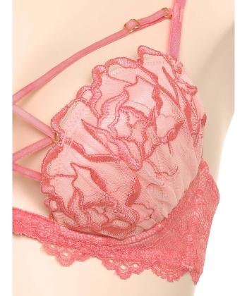 ラヴィッシュローズ ホットリフト ブラ