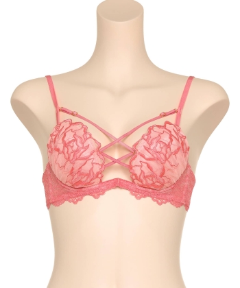 ラヴィッシュローズ ホットリフト ブラ