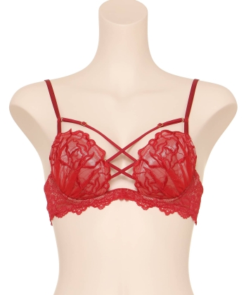 ラヴィッシュローズ ホットリフト ブラ