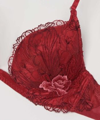 フェザーセレステ トリックリフト ブラ