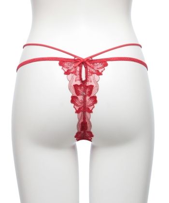 エミリー エンブロイダリーレース Tバック