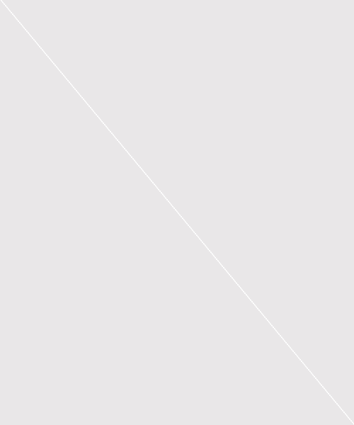 ウェットスーツ