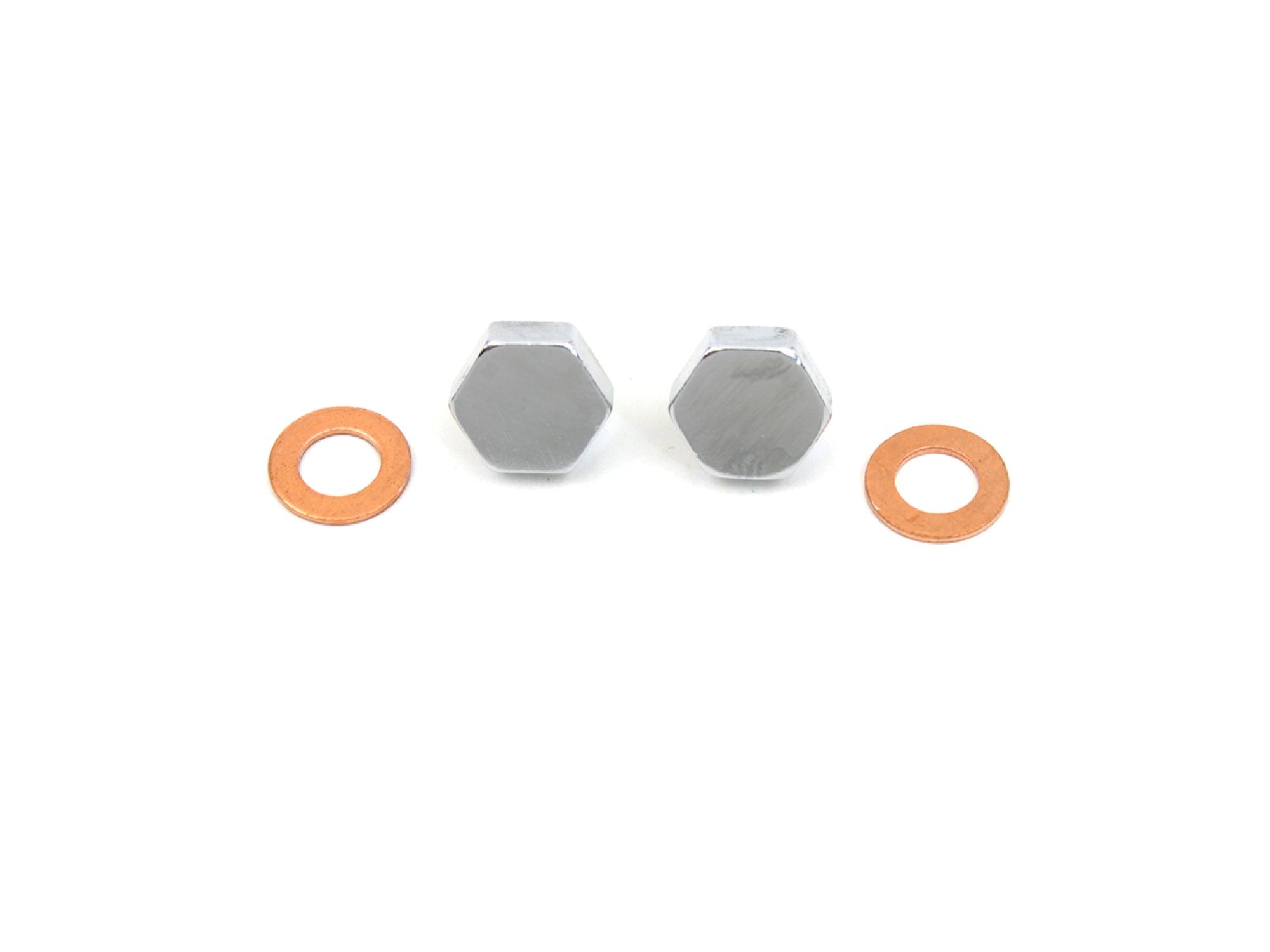 Chrome Fork Slider Drain Screws