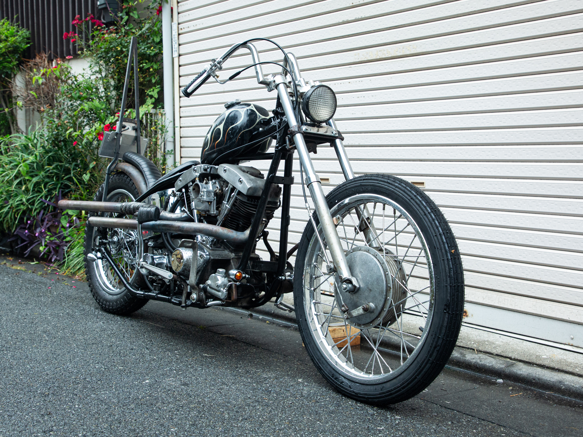 FXEF80
