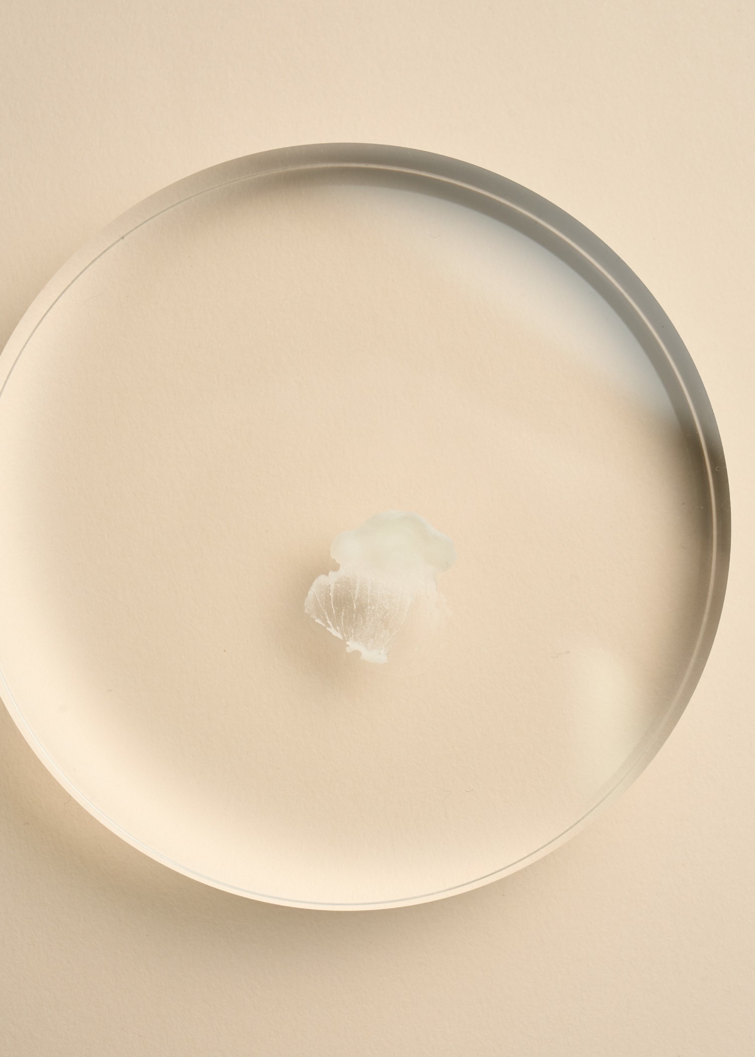 【ELBT】Solid Perfume Modern