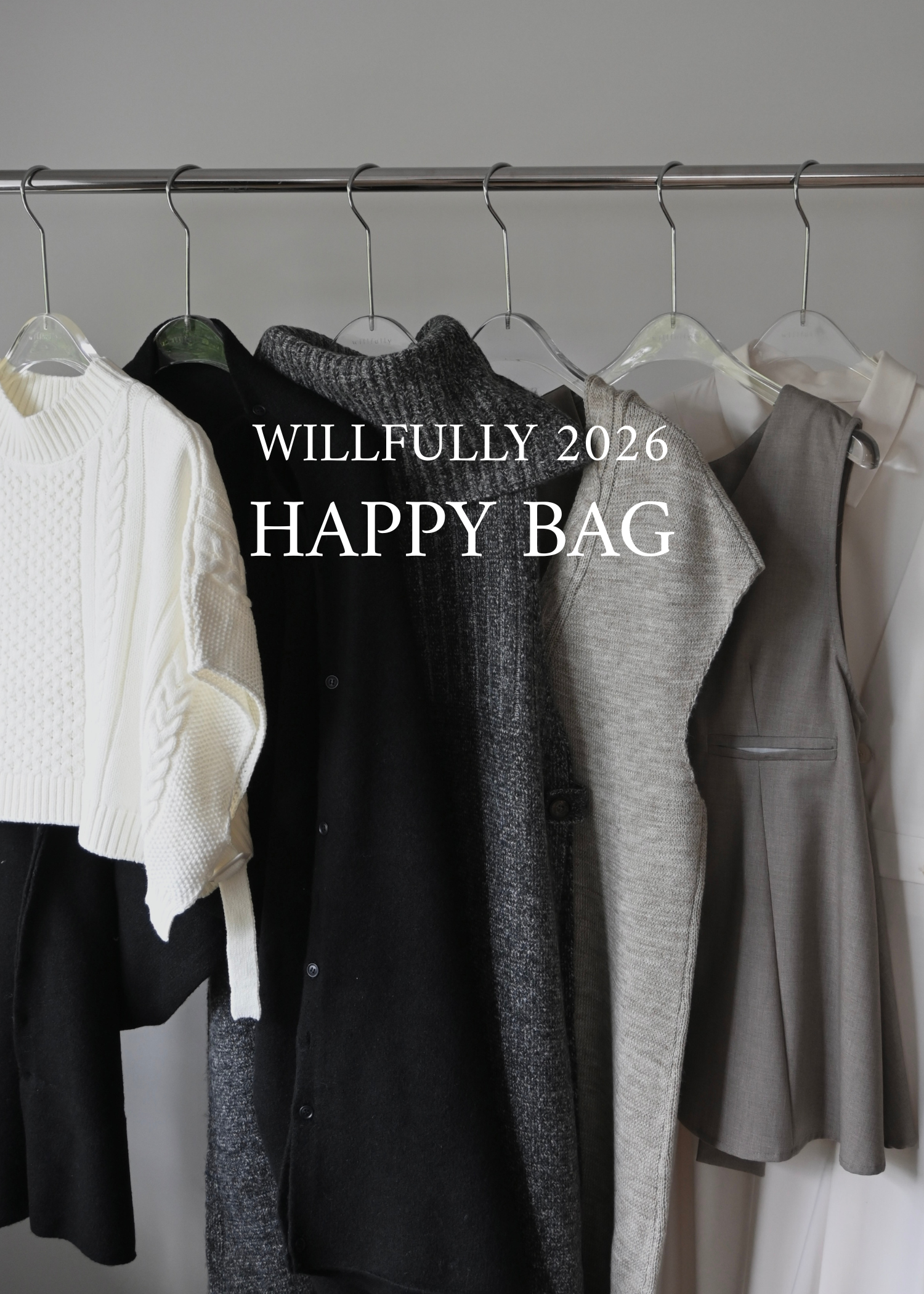 WILLFULLY 2026 HAPPY BAG